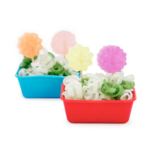 Load image into Gallery viewer, Flowerpot Soapmaking Kit for 2
